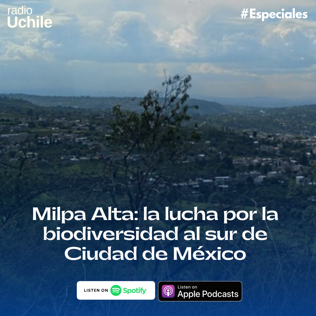 Milpa Alta: la lucha por la biodiversidad al sur de Ciudad de México episode artwork